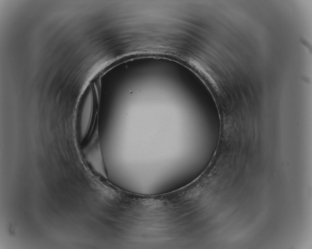 X0000091291085200708241023