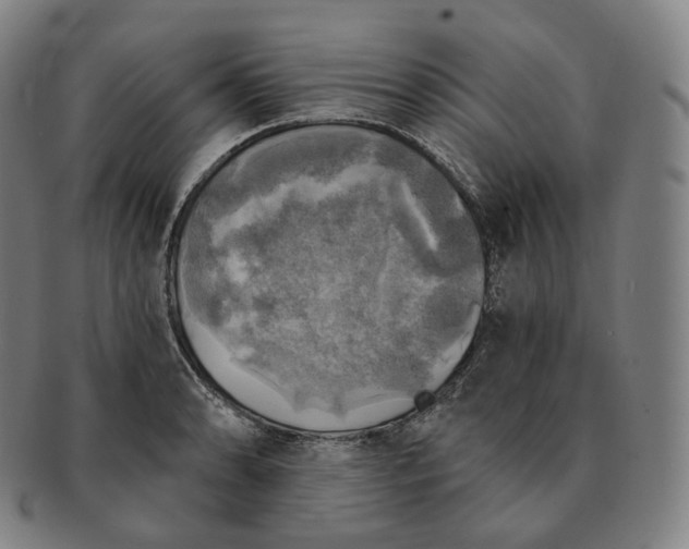 X0000091291086200708241023