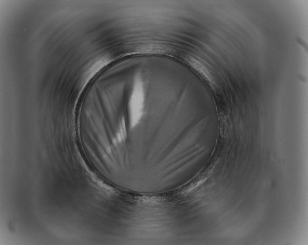 X0000091291087200708241023