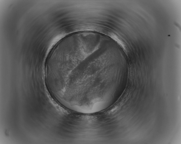 X0000091291088200708241023