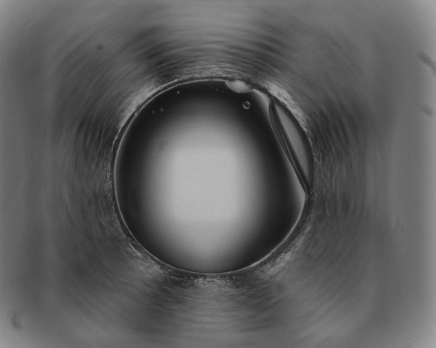 X0000091291089200708241023