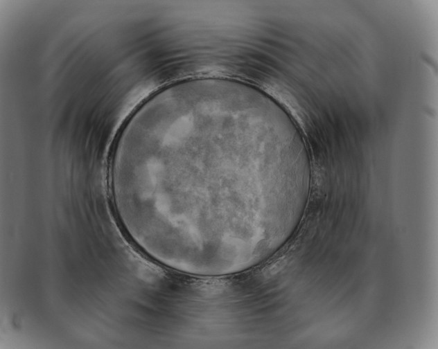 X0000091291090200708241023