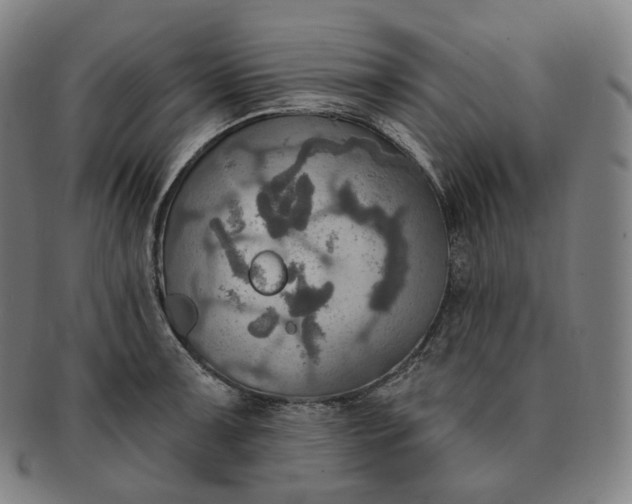 X0000091291091200708241023