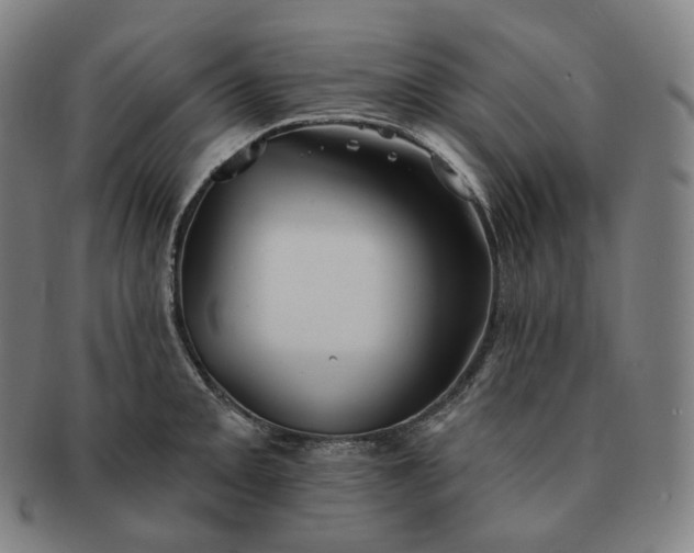 X0000091291093200708241023