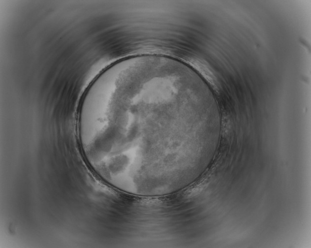 X0000091291094200708241023