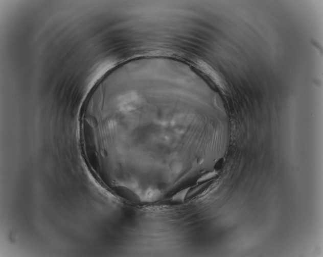 X0000091291095200708241023