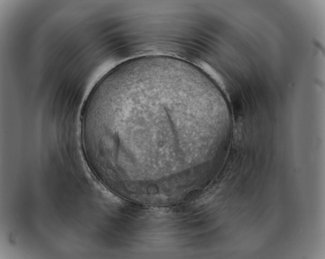 X0000091291096200708241023