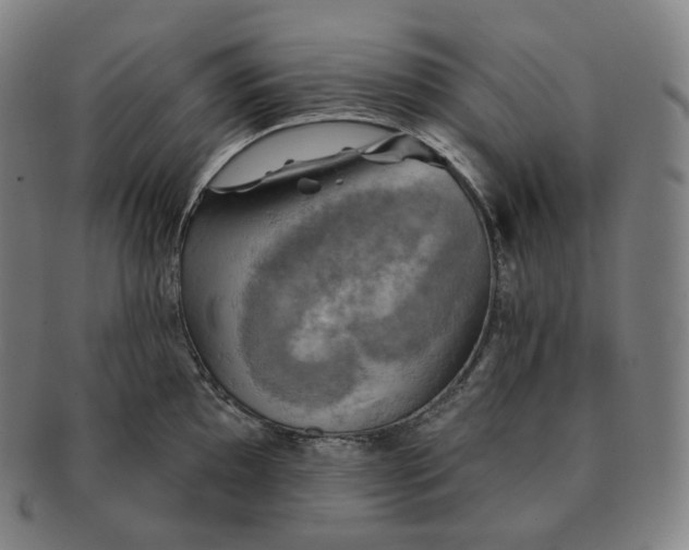 X0000091291097200708241023