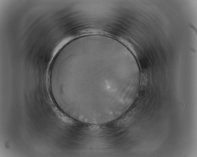 X0000091291098200708241023