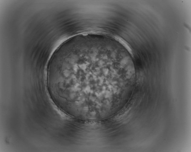 X0000091291099200708241023