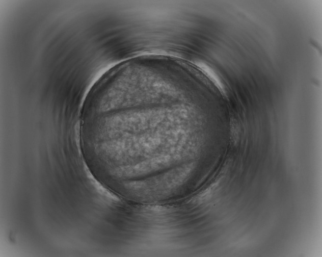 X0000091291100200708241023