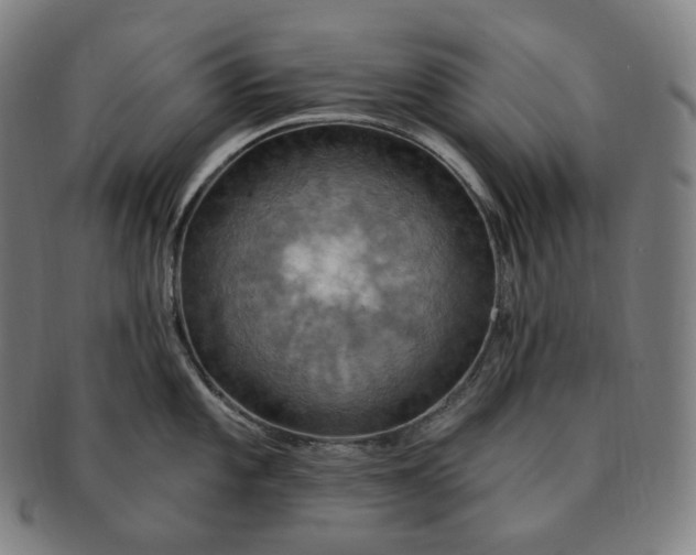 X0000091291101200708241023