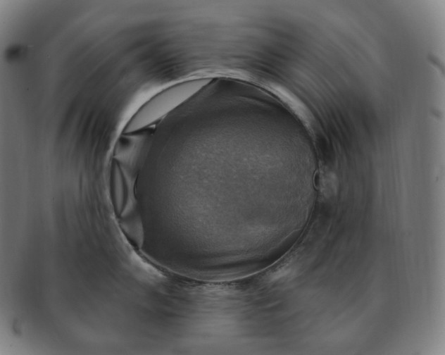 X0000091291102200708241023