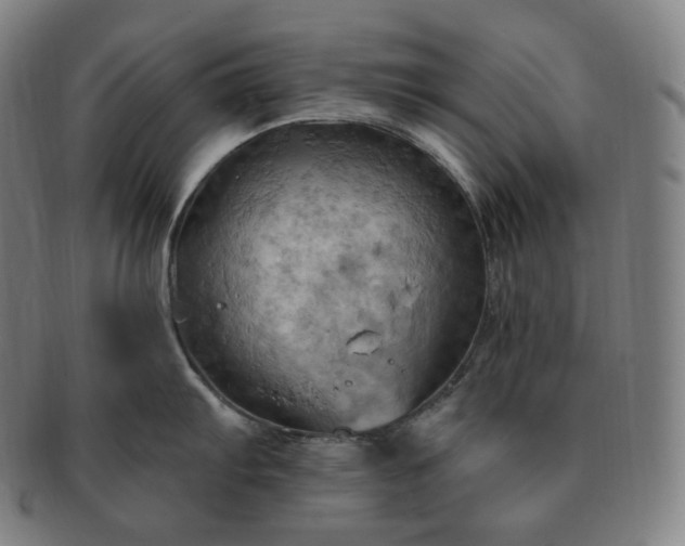 X0000091291103200708241023