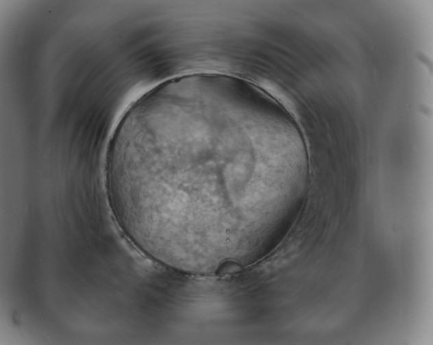 X0000091291104200708241023