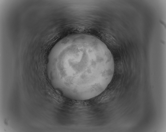 X0000091291105200708241022