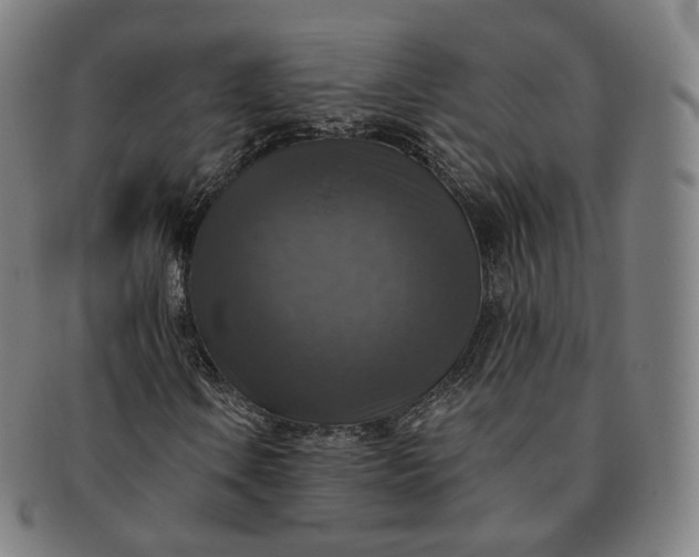 X0000091291106200708241023