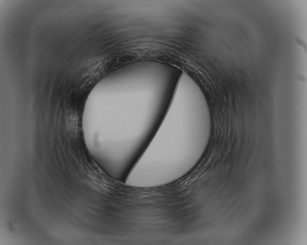 X0000091291108200708241023