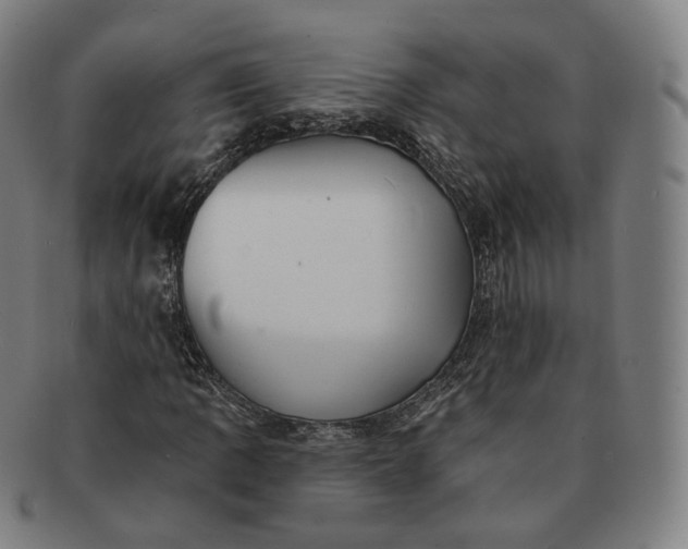 X0000091291109200708241023