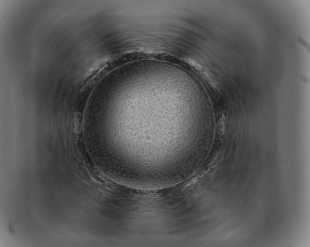 X0000091291110200708241023