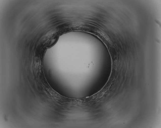 X0000091291111200708241023