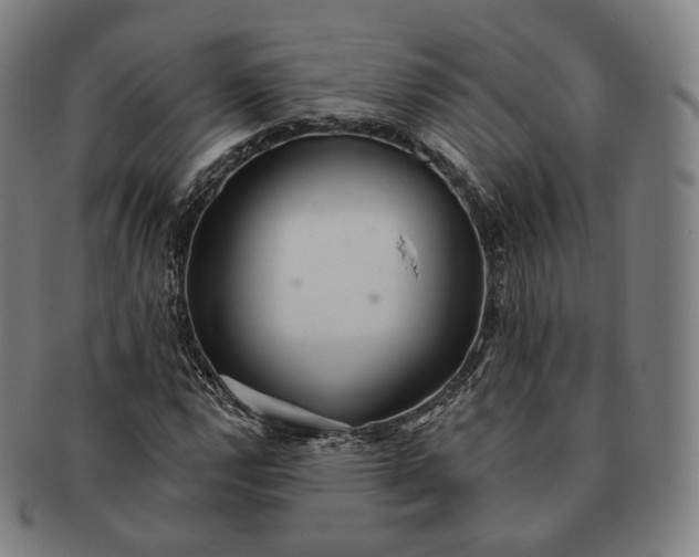 X0000091291112200708241023