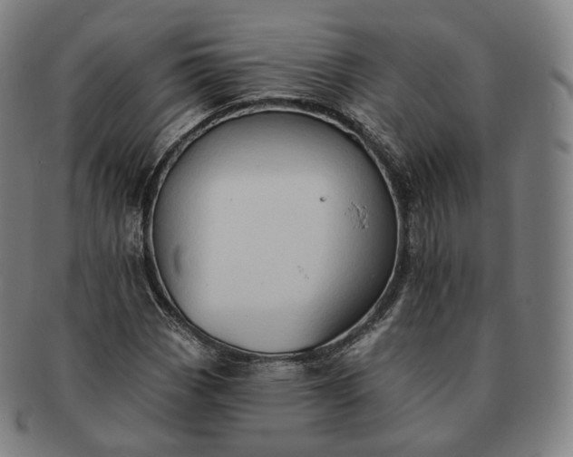 X0000091291113200708241023