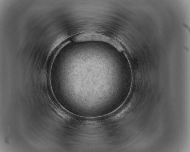 X0000091291114200708241023