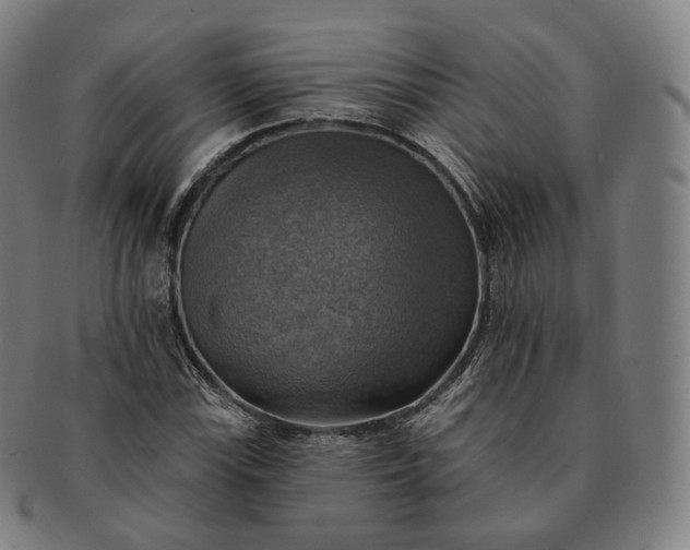 X0000091291115200708241023