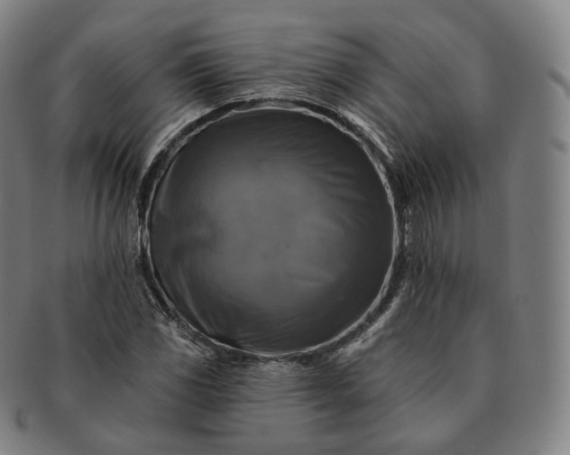 X0000091291117200708241023