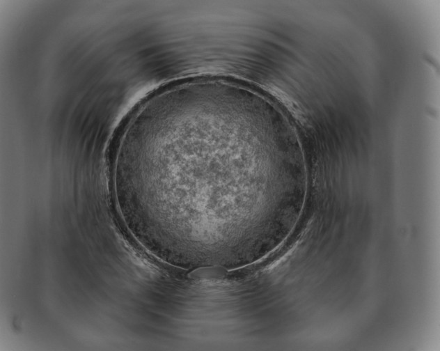 X0000091291118200708241023