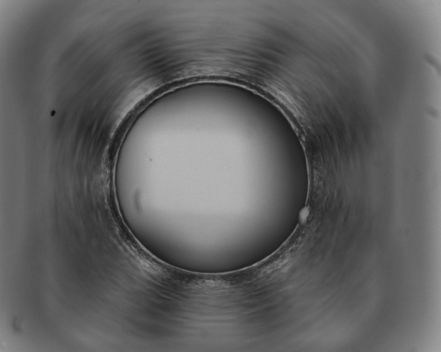 X0000091291119200708241023