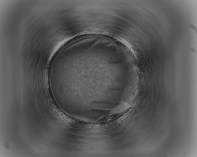 X0000091291120200708241023