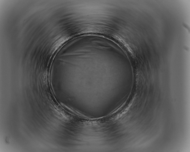 X0000091291121200708241023