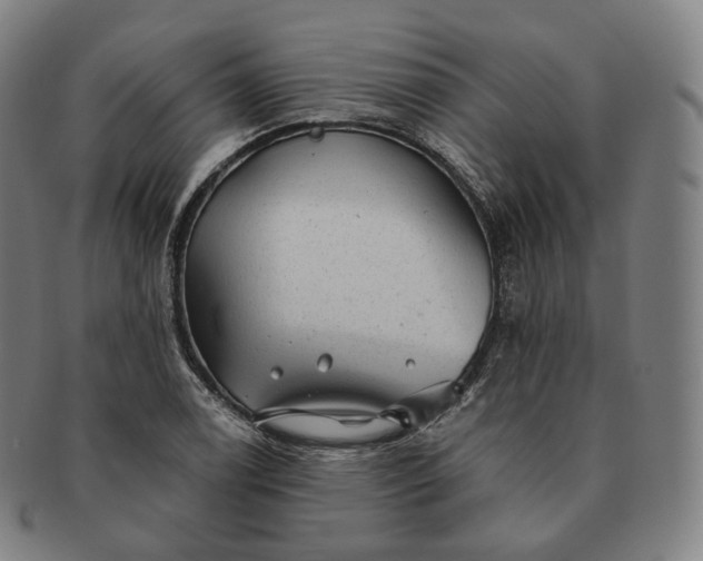 X0000091291122200708241023