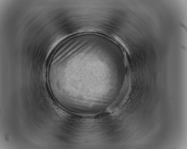 X0000091291124200708241023