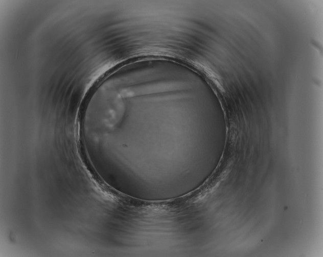 X0000091291125200708241023