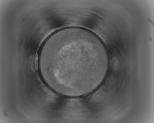 X0000091291126200708241023