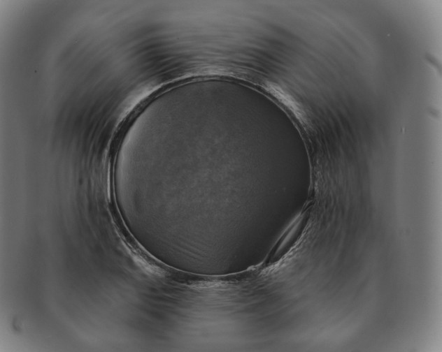 X0000091291127200708241023