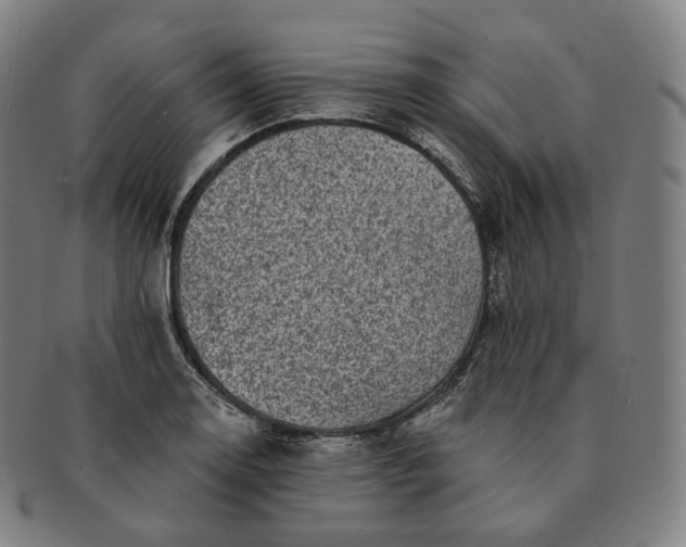 X0000091291130200708241023