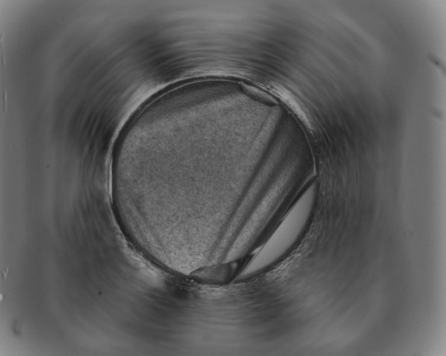 X0000091291132200708241023