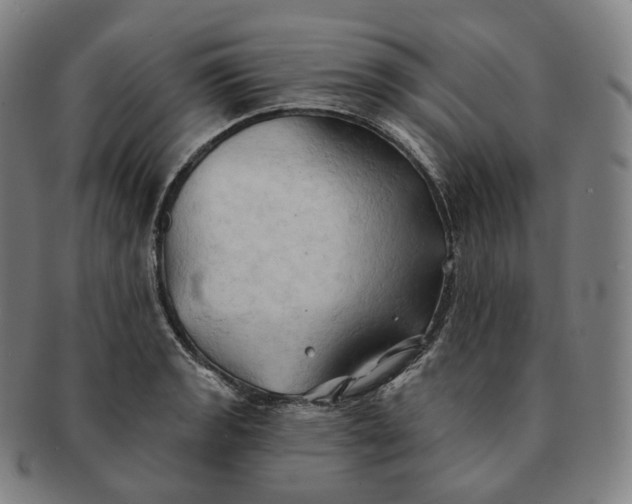 X0000091291133200708241023