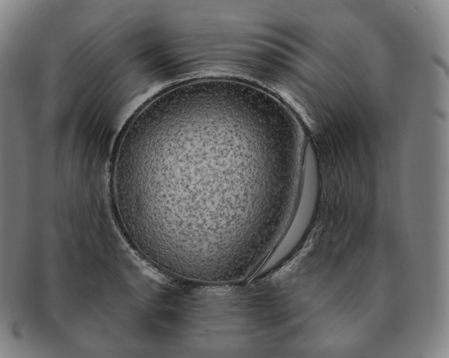 X0000091291134200708241023