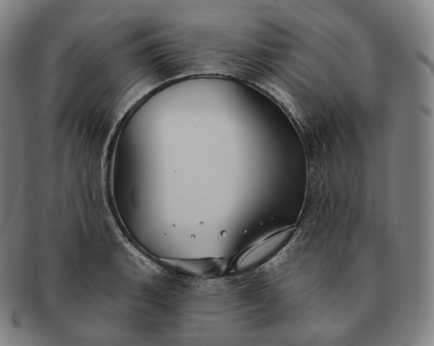 X0000091291135200708241023