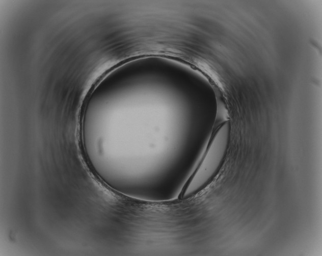 X0000091291136200708241023