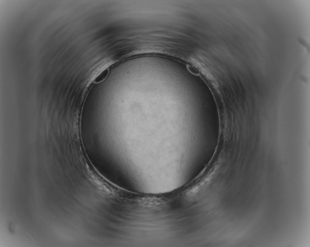 X0000091291137200708241023