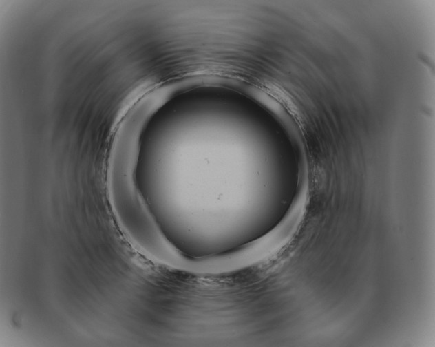 X0000091291138200708241023