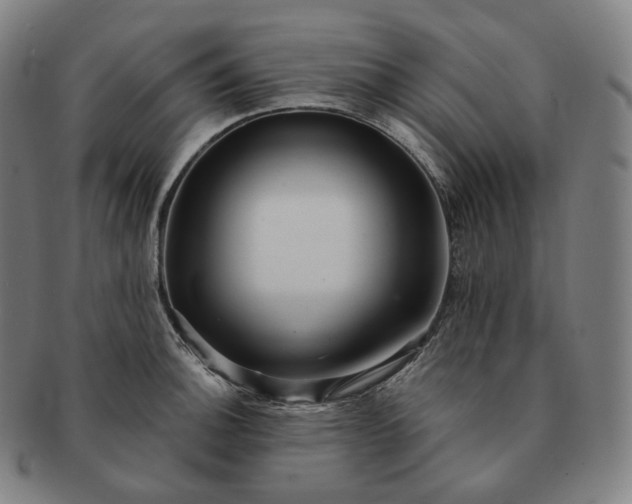 X0000091291140200708241023