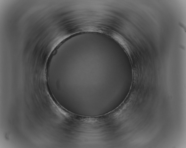 X0000091291141200708241023