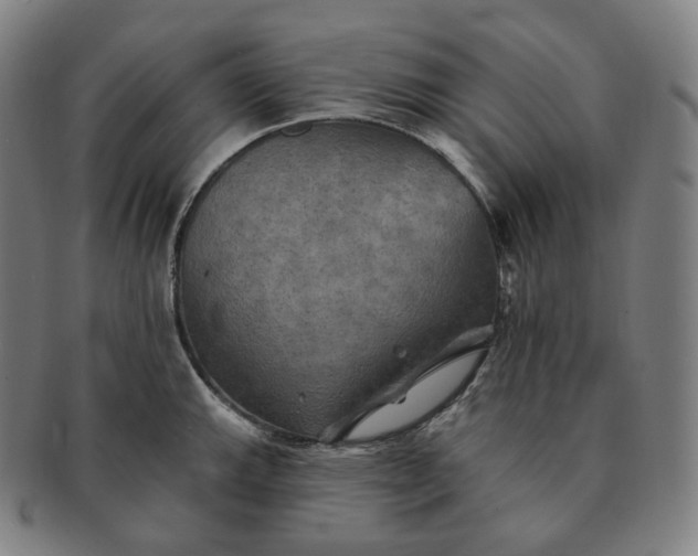 X0000091291143200708241023